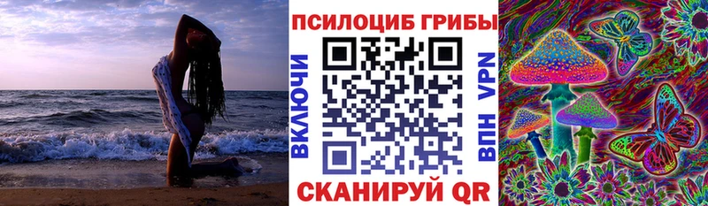 Псилоцибиновые грибы мухоморы Курлово